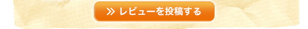 レビューを投稿する
